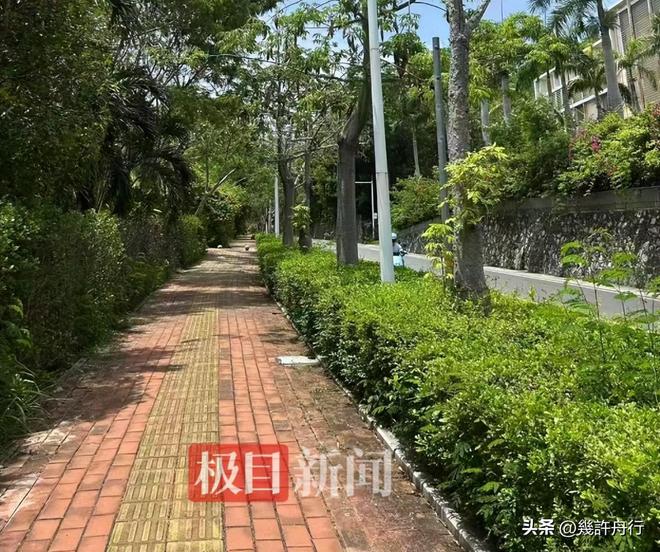 续责任不只在医院男友曝更多细节细节微妙j9九游真人游戏第一品牌游客命丧三亚后(图16)